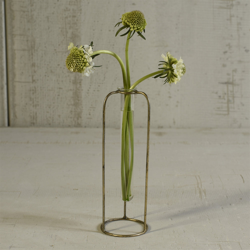 Glass Tube Single Stem Vase