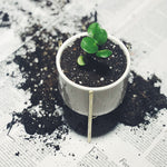 What is the Difference Between Potting Soil and Potting Mix?