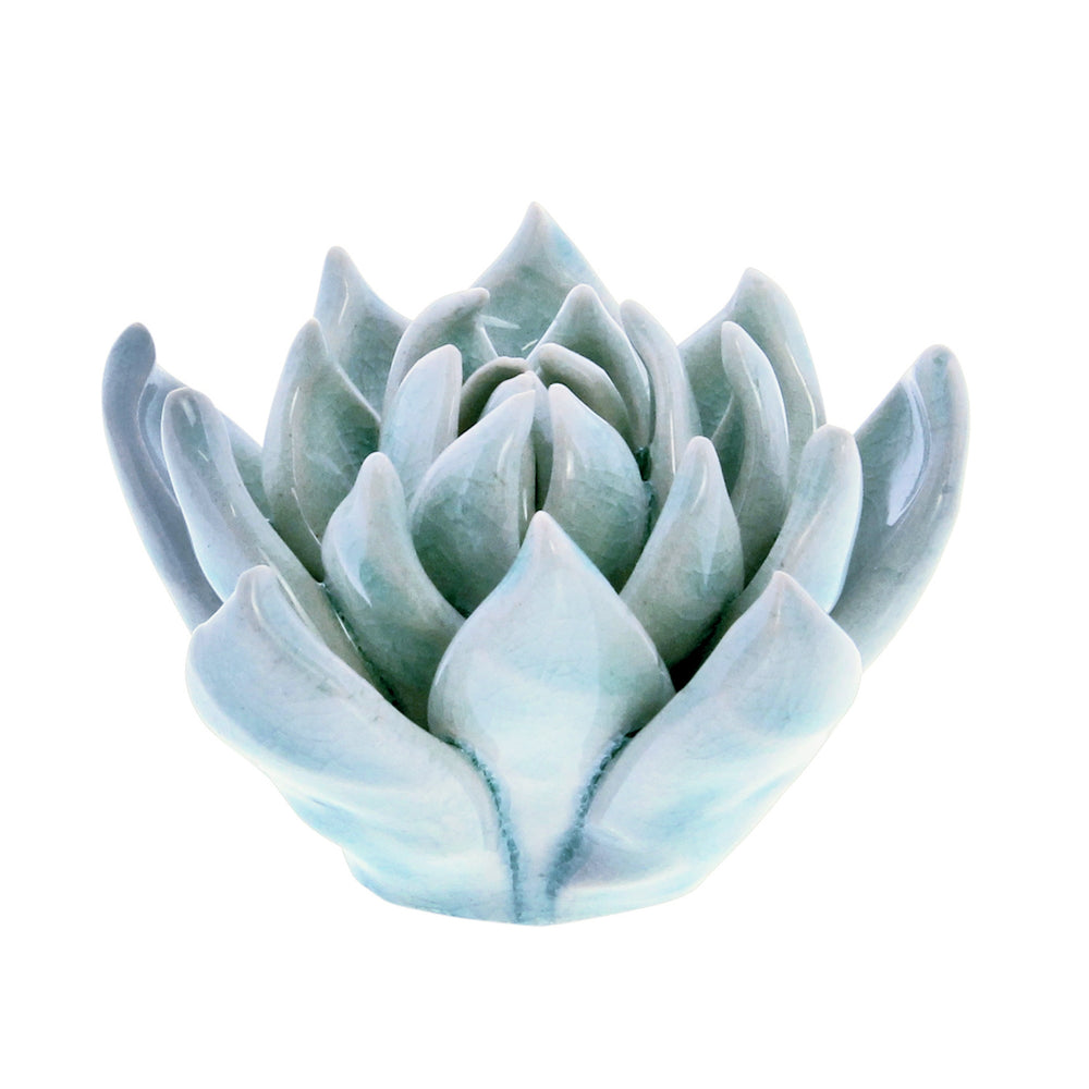 Light Blue Ceramic Succulent