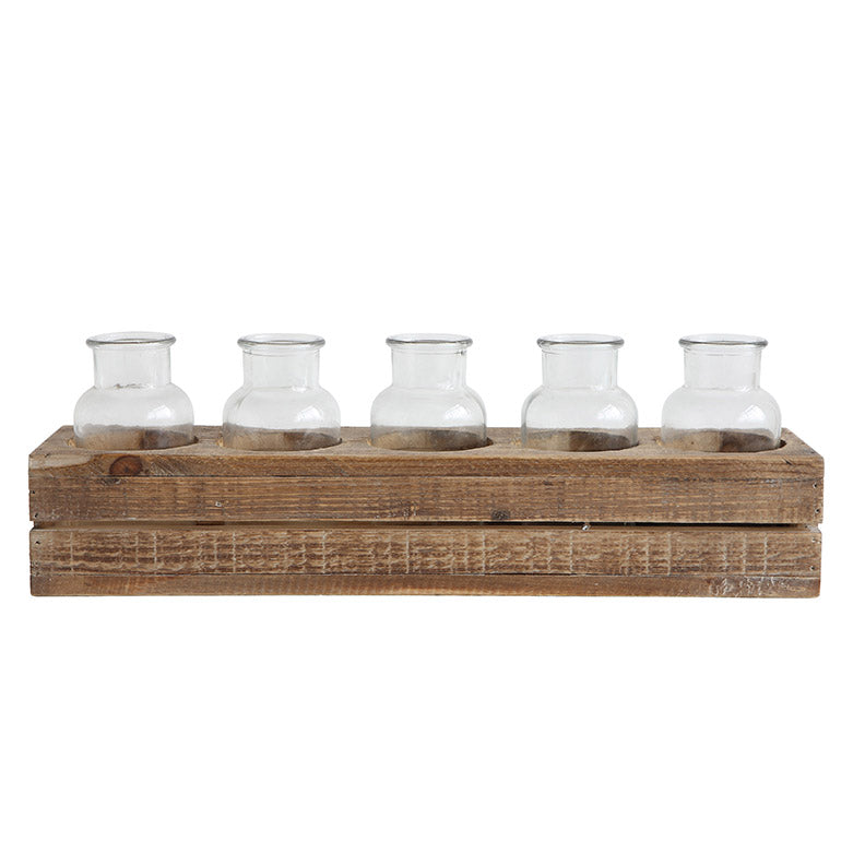 Hydroponic Rooting Bottles with Wood Stand / Flower Vases / Small Glass Vase