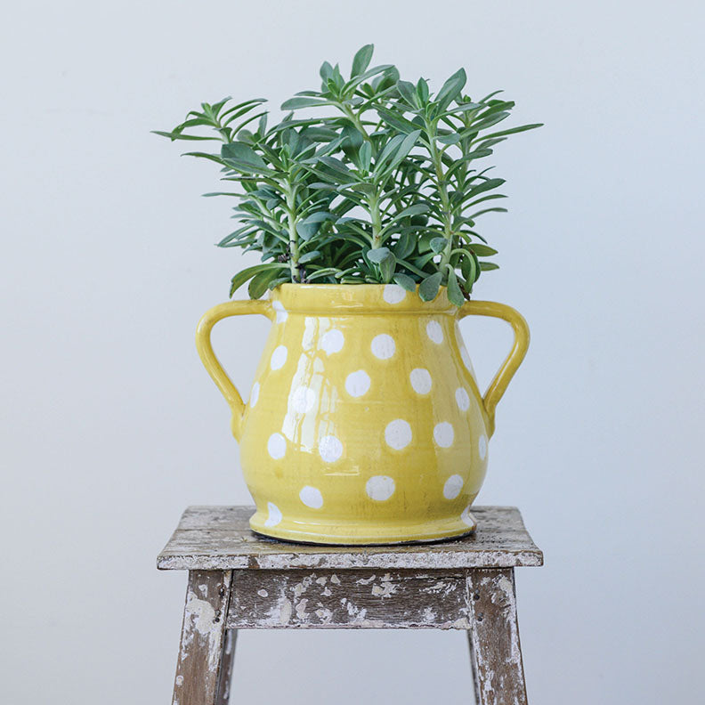 Yellow Ceramic Planter with White Dots and Handles