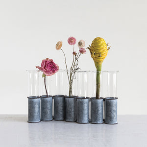 Test Tube Vase / Hydroponic Rooting Vase/ Glass Flower Vases with Metal Holder
