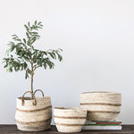 Maize Baskets / Plant Baskets / Basket Planters (set of 3)