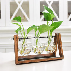 Hydroponic Rooting Vase with Wood Plant Stand