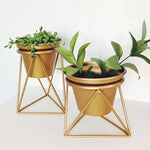 Gold Planter with Plant Stand