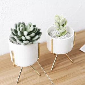 White Ceramic Planter With Metal Plant Stand