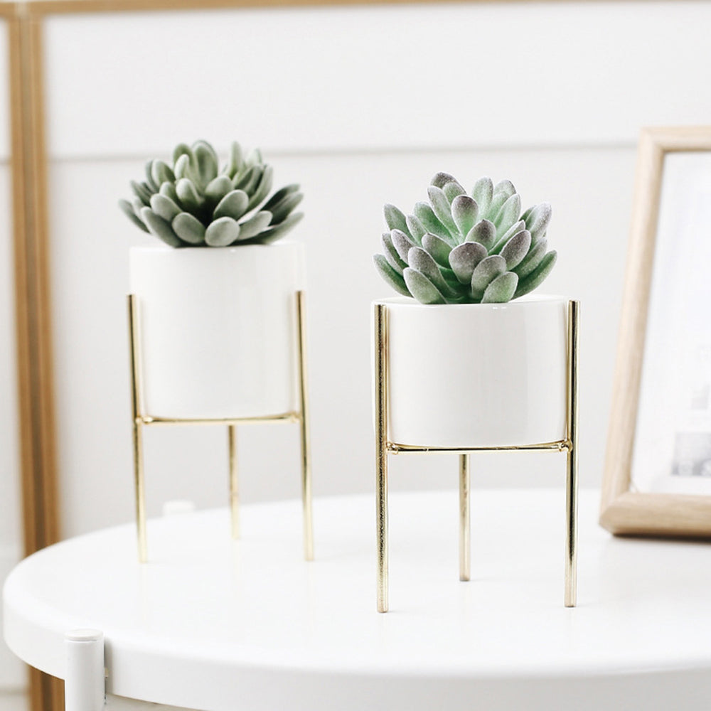 Amelia Ivory Ceramic Planter with Metal Stand by World Market