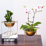 Modern Gold Planter and Plant Stand