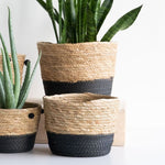Storage Baskets / Indoor Plant Baskets  (set of 2)