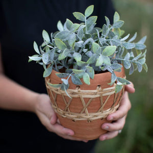 Handmade Terracotta Pot / Rustic Terracotta Planter