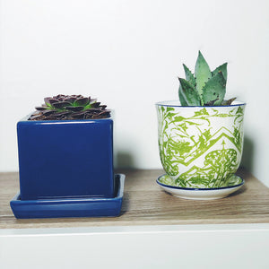 Square Planter with Saucer