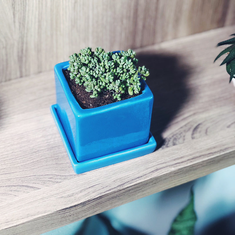 Square Planter with Saucer